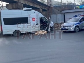 Водитель пассажирского автобуса скончался прямо за рулем 