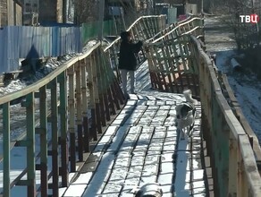В Амурской области новое уголовное дело  за разрушенный мост в Сковородине Он засветился на федеральном ТВ