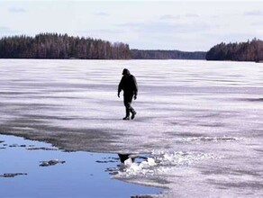 В Амурской области по Зее на льдине дрейфовал мужчина 