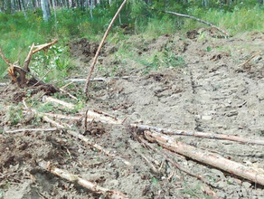 Амурчанин с бульдозером нанес значительной ущерб природе Приамурья фото