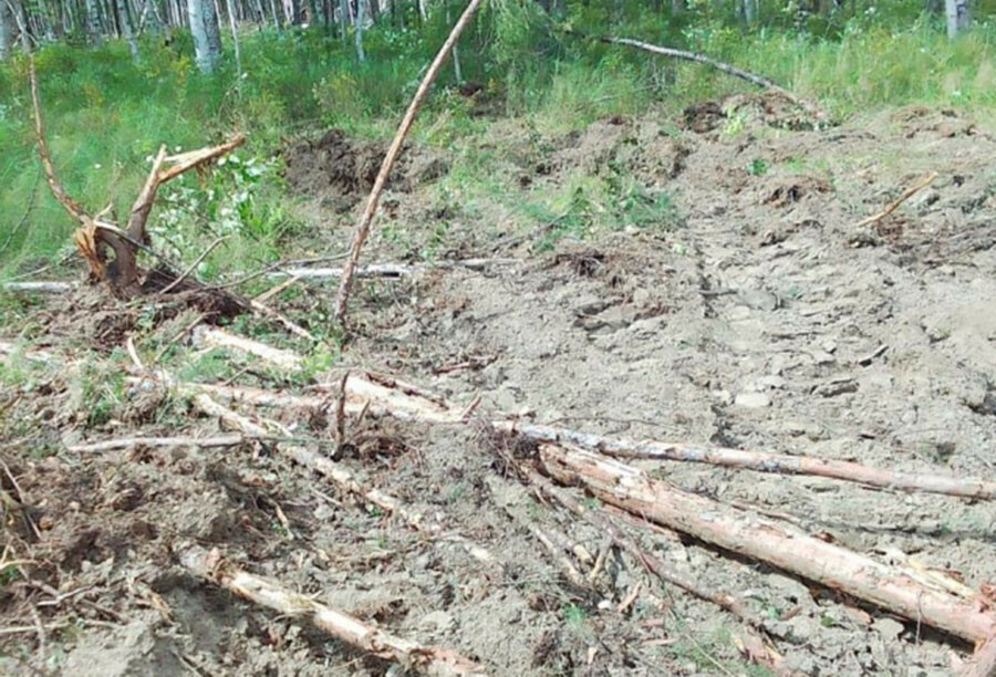 Амурчанин с бульдозером нанес значительной ущерб природе Приамурья фото