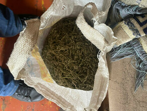 Производителя наркотиков задержали в Приамурье сотрудники ФСБ