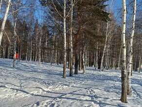 Для амурчан уже в следующем году откроют новую общественную территорию стоимостью почти 150 миллионов рублей 