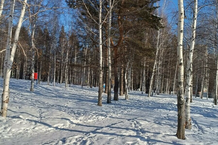 Для амурчан уже в следующем году откроют новую общественную территорию стоимостью почти 150 миллионов рублей 