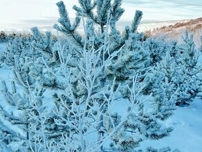 В Приамурье приморозит до 33 градусов