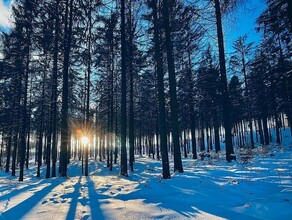 В Приамурье погодное затишье прогноз на 3 декабря