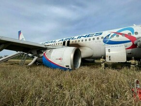 Пилотам посадившим самолет в поле под Новосибирском предложили уволиться 