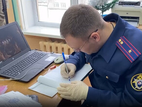 На охрану гимназии где школьница устроила смертельную стрельбу потрачено 300 тысяч рублей видео