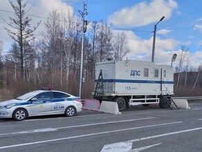 В Приамурье выставят пост изза вспышки АЧС в Забайкалье 