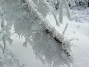 В Приамурье ударят 38градусные морозы 