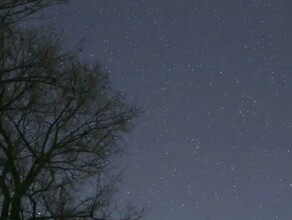 Метеорный поток сняли в небе над Благовещенском видео 