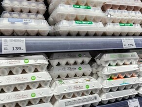 Цены на яйца на краснодарском рынке снизились после обращения к Путину