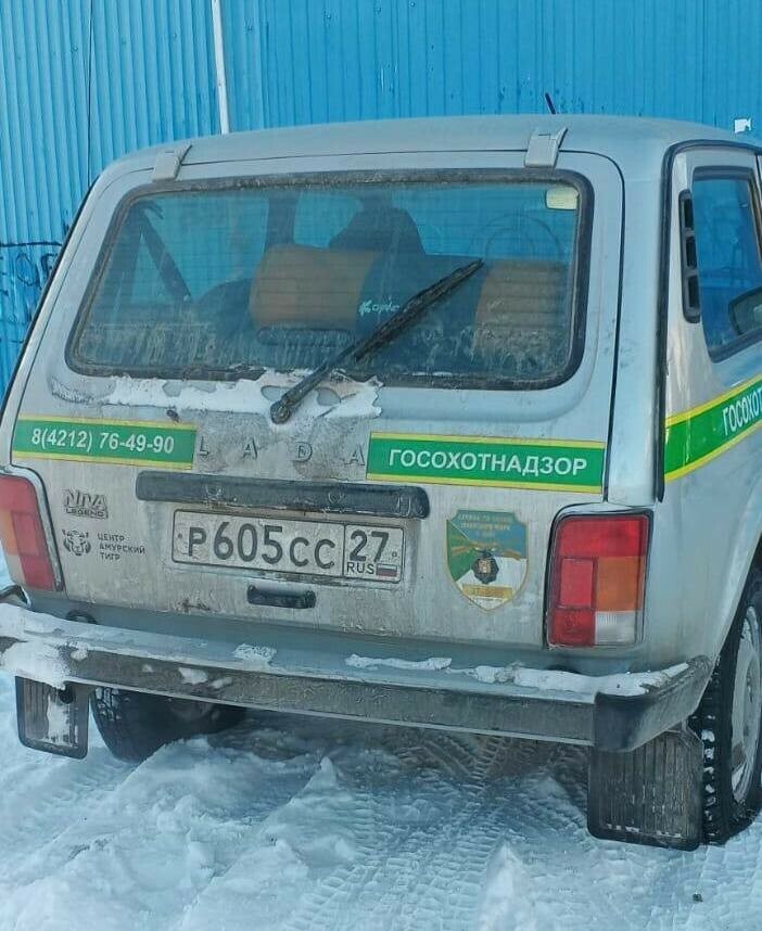 Специалистам по отлову тигров в Хабаровском крае порезали колеса