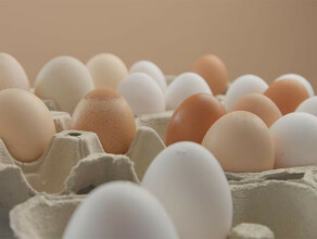 Глава Минсельхоза работа над стабилизацией цен на куриные яйца ведется