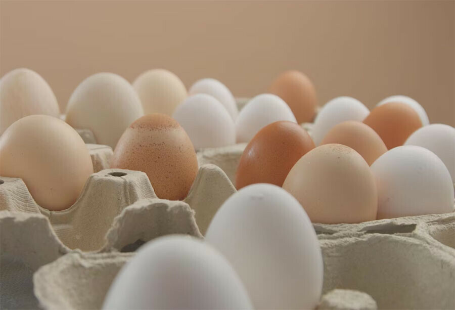 Глава Минсельхоза работа над стабилизацией цен на куриные яйца ведется