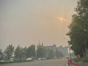 Правительство выделило Амурской области компенсацию за тушение лесных пожаров