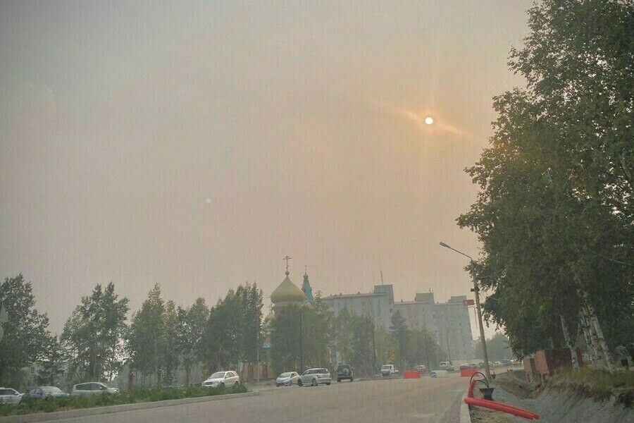 Правительство выделило Амурской области компенсацию за тушение лесных пожаров