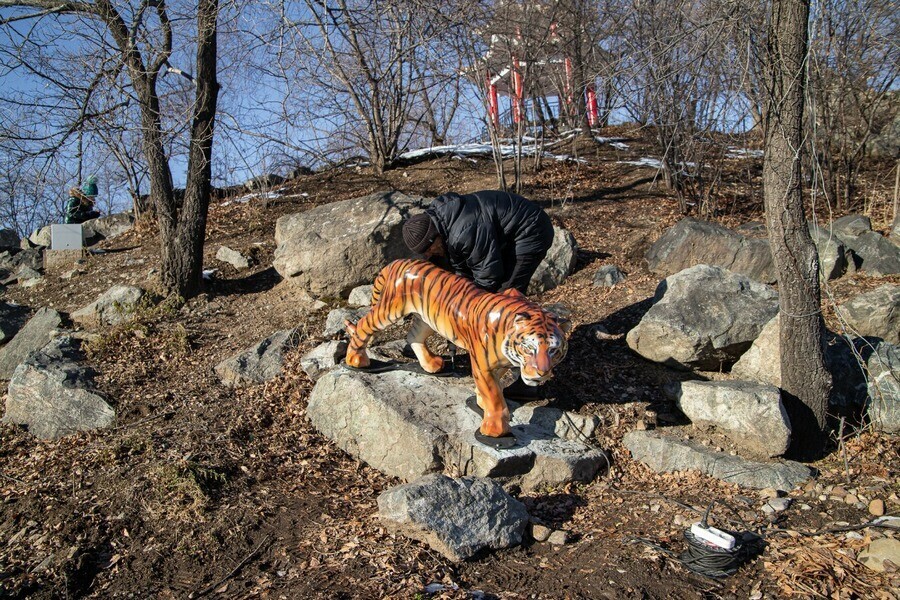В парке Дружбы установили артобъект в память об убитом тигре Павлике фото