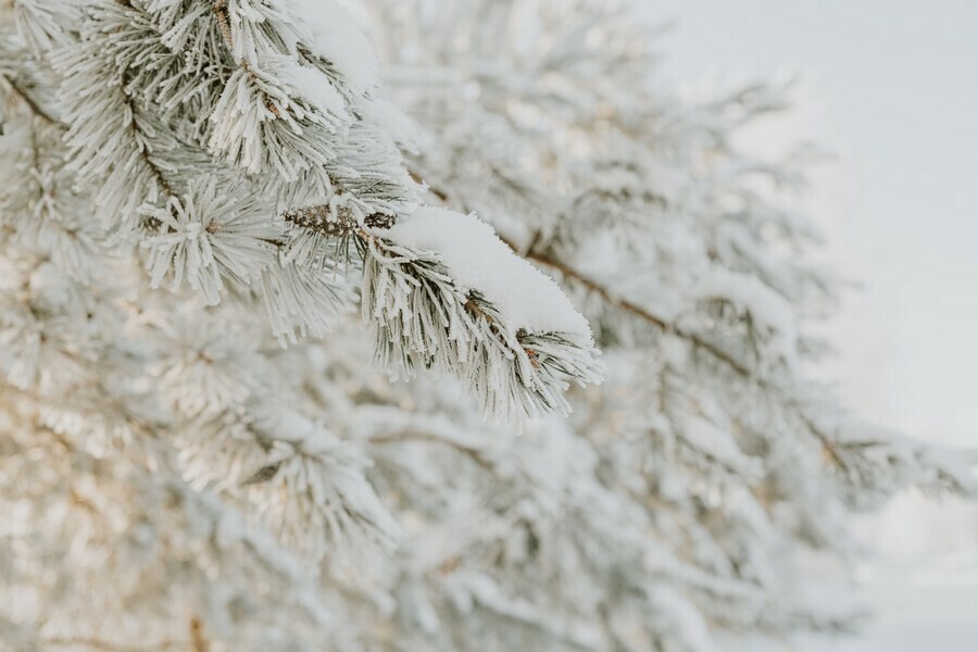 Изза аномальных морозов в Приамурье объявлено штормовое предупреждение 