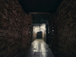 В Москве мигранты похитили подростков и заставили их строить сауну