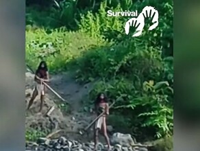 Шокирующее видео в лесу на неконтактное племя случайно наткнулись рабочие 