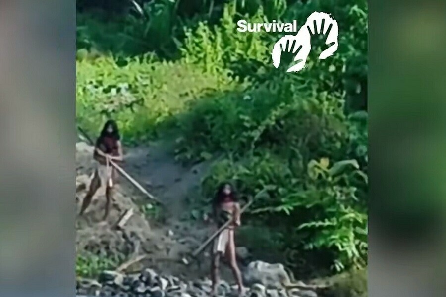Шокирующее видео в лесу на неконтактное племя случайно наткнулись рабочие 