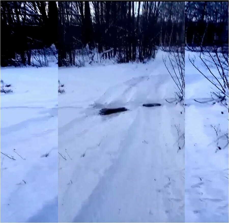 Сын не терял надежды и нашел еле живого отца Стали известны подробности поисков мужчины в зейской тайге