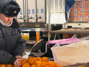 Китай многократно увеличил объём поставок мандаринов в Приамурье