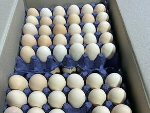 ФАС выявила новые нарушения в ценообразовании куриных яиц