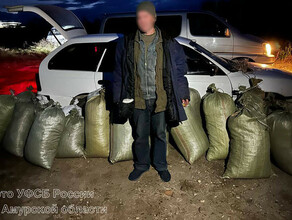 В коровнике в амурском селе сотрудники ФСБ нашли больше 100 килограммов марихуаны