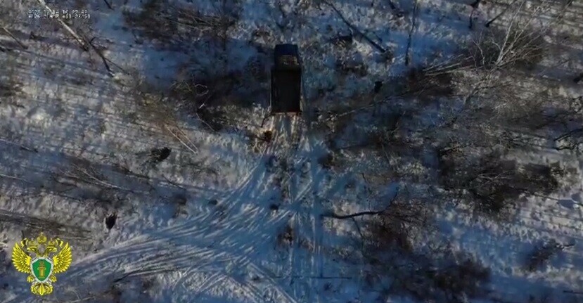 В амурском лесу дрон засек нарушителей закона видео 