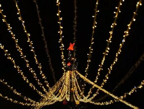 Путевка в Новый год Amurlife предлагает прогуляться вокруг главной ёлки Амурской области видео
