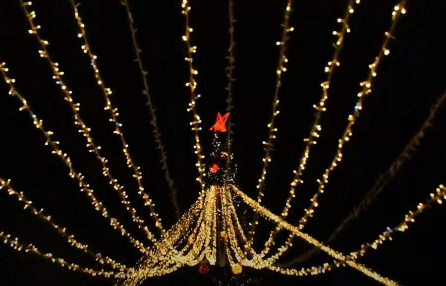 Путевка в Новый год Amurlife предлагает прогуляться вокруг главной ёлки Амурской области видео