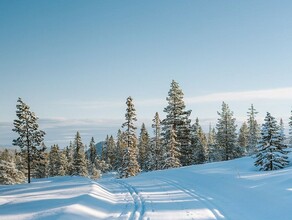 Тепленькая пошла В Приамурье в 2024м потеплеет до 35 градусов