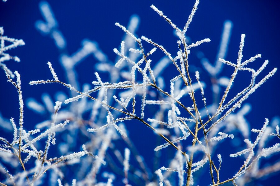 Морозы усилятся в Амурской области прогноз погоды на 2 января