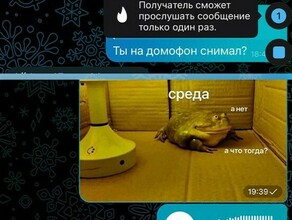 Пользователи Telegram теперь могут не обнаружить отправленные голосовые сообщения