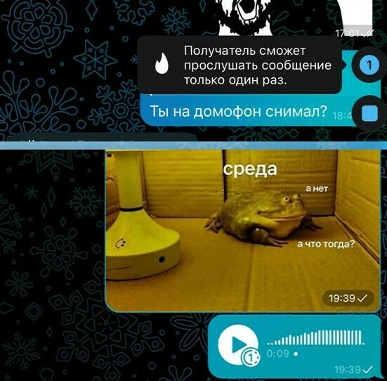 Пользователи Telegram теперь могут не обнаружить отправленные голосовые сообщения