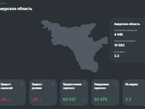 В Амурской области сложился дефицит работников в 12 сферах деятельности