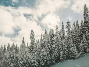 Снег не ослабит морозы прогноз погоды в Приамурье на 8 января