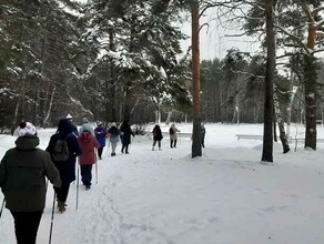 В Благовещенске с 8 января начинаются бесплатные занятия скандинавской ходьбой в трех парках сразу