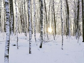 На севере Приамурья потеплеет до минус 40 градусов Прогноз погоды на 9 января