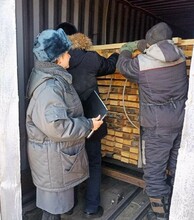 Почти 240 тысяч кубометров древесины вывезено в Китай из Амурской области в 2023 году