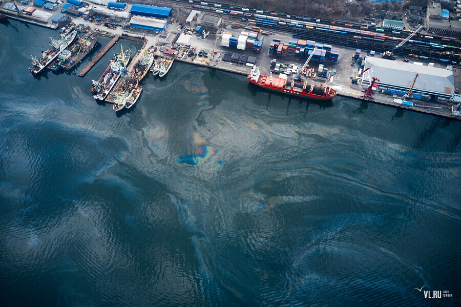 Во Владивостоке под Золотым мостом воду накрыла нефтяная пленка фото