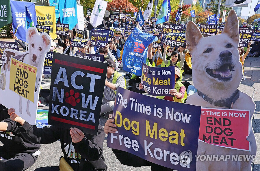 В Южной Корее принят закон запрещающий разведение и поедание собак
