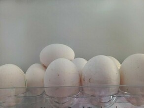 Гендиректор Росптицесоюза цены на яйца вряд ли снизятся