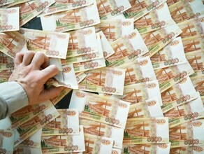 В Приамурье предпринимателю придется выплатить государству около 30 миллионов рублей