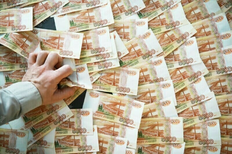 В Приамурье предпринимателю придется выплатить государству около 30 миллионов рублей
