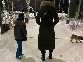 Изза собаки мать вывела ребенка на мороз в носках Подключился следком