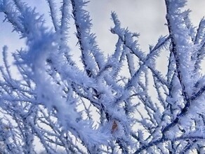 До 38 градусов приморозит в Приамурье прогноз на 18 января