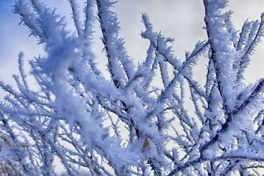 До 38 градусов приморозит в Приамурье прогноз на 18 января